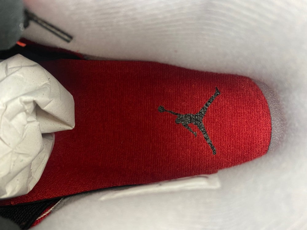 Air Jordan 4 Toro Bravo