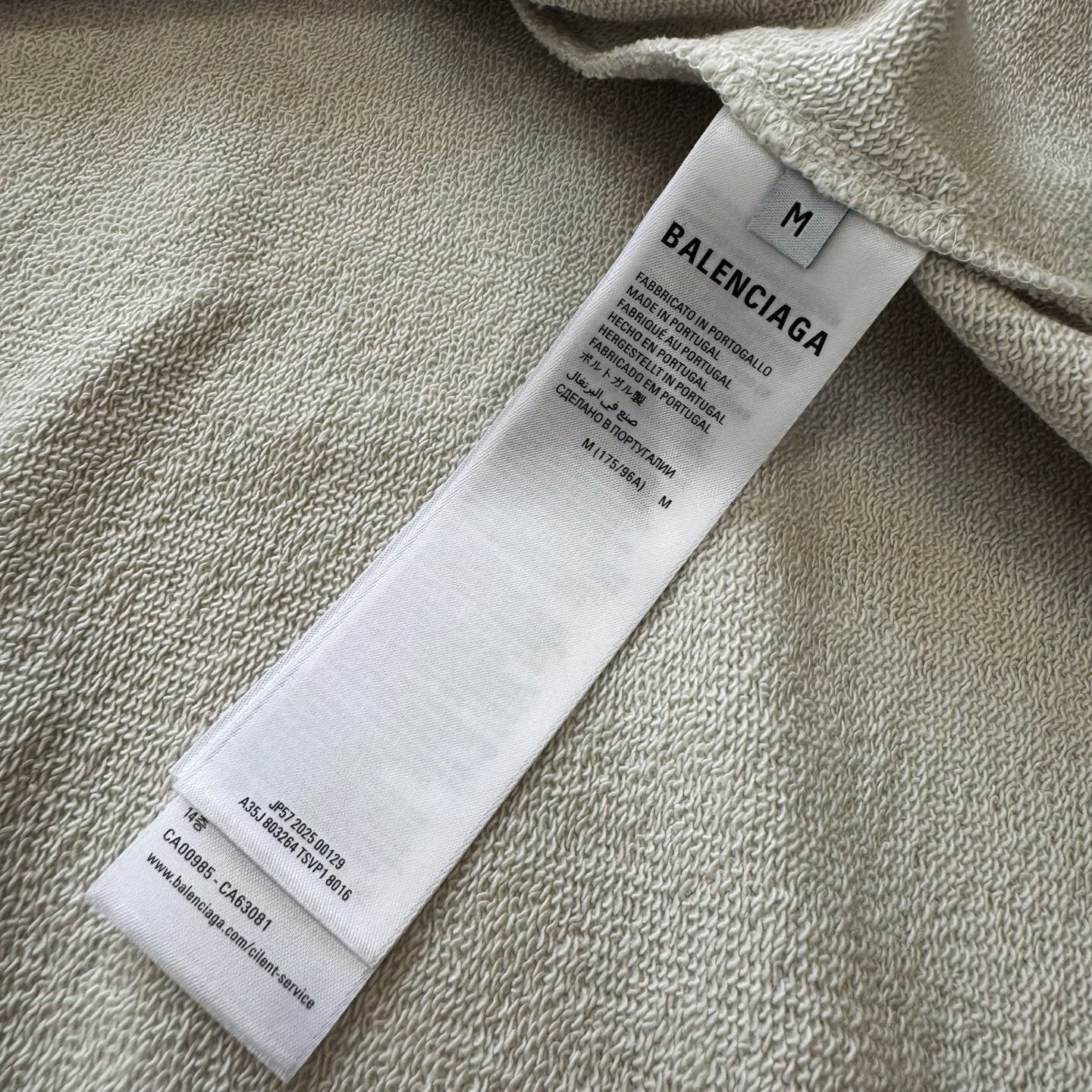 Balenciaga  Zip-Up Regular Fit Hoodie